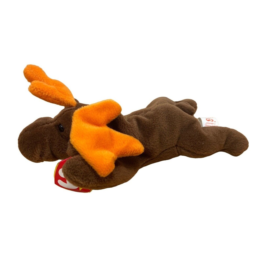 Ty Beanie Babies Chocolate the Moose  6" With Hang Tag 1993